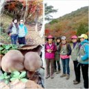 영광유치원 이미지