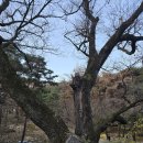 묘법연화경 권4~7 | 달성군 옥포읍 천년고찰 8대 적멸보궁 용연사 상세 소개