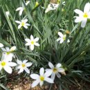 해나비농장 이미지