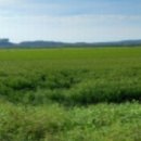 김민재공인중개사사무소 이미지