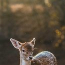 보건증 발급 방법 &amp; 보건증 검사 및 비용 참고해요! 이미지