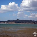 함평해수찜 이미지