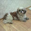 서대전육교밑 이미지