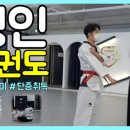 삼정태권도 이미지