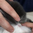 통영숲동물의료센터 이미지