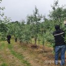 소보면사무소 이미지