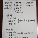 동함평 육묘상자 정식 24.7.15.월. 이미지