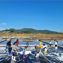 씨사이드 이미지