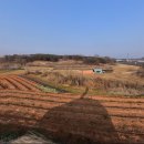 당진부동산중개사 이미지