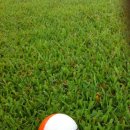 조광컨트리 이미지