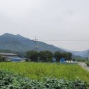 안수산 이미지