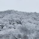 설국농장 이미지