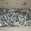 미리네농장 이미지