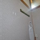 다사랑장어 이미지