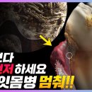 한빛직업소개소 이미지