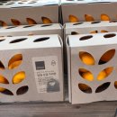 홀-마트 이미지