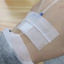 내 몸을 웃게하는 산야초(기초) | 메가도스 이뮨샷 마셔봐도 피로가 안 풀려서 고생하던 직장인의 9개월 면역 환승 기록 ㅠ