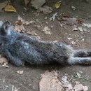 성남2길 이미지