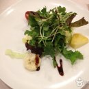 베네 Daum카페