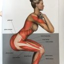 VIP퍼스널 운동센터 이미지