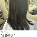 175 | 진접 미용실 효과 100%느껴지는 모발클리닉 르올헤어