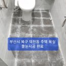 [부산/양산/기장/정관 줄눈시공]~~오전 양산 황산공원 댑싸리 구경하고, 오후에 부산시 북구 덕천동 주택 줄눈시공 완료 하였습니다. 이미지