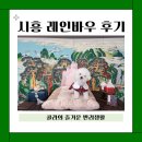 경기도 시흥 애견카페 레인바우 후기