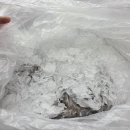 (주)한국타이어제철판매 | [새우택배]농라카페 1대장 여수밤바다 활새우, 가을 제철 맛 제대로 즐기기 (택배 주문 후기)