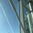 363 | 아시아나 OZ363 타고 상하이 푸동공항 입국 후기! 기내식부터 입국심사까지
