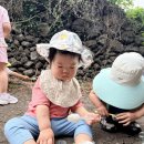 6월 19일 금요일 동글동글 콩벌레를 찾아요!🌱 이미지