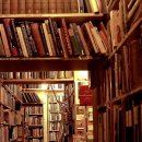 보르미네 이미지