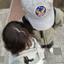 건축 작가와 떠나는 고궁산책 | [경주 여행 1탄] 벚꽃 보러 떠난 배낭여행 1박 2일 코스 추천 + 황리단길 + 벚꽃 현황 + srt 기차...