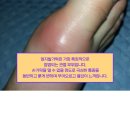 위너스메드 이미지