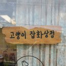 세븐일레븐거제덕포점 | [거제덕포맛집] 고양이잡화상점, 강아지와 고양이를 만날 수 있는 덕포동 힐링 카페