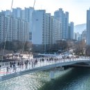 휴먼브릿지 이미지