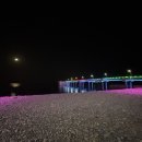 세일마트(지세포점) 이미지