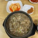오션뷰 | 제주 테라스 맛집 TOP10 (봄 시즌 추천)