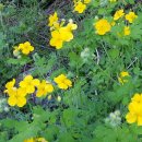 순수농장 이미지