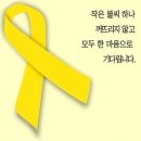 리본짐 이미지
