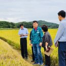 정광섭 충남도의원, “수확기 벼멸구 피해 농가에 피해액 지원” 모색(김면수의 정치토크) 이미지