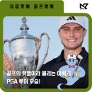 샛별투어 이미지