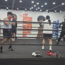 팀코어복싱짐 | 공도복싱 공도읍복싱 다이어트 효과 미친 안성 공도 팀리버샷복싱점 다녀온 후기