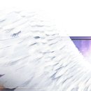 현금영수증 발급/등록 방법 이미지