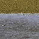 청산아트홀 이미지