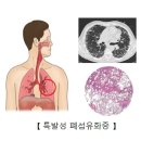 일원역1번출구약국 네이버블로그