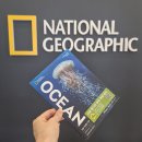 서울 전시회 충무아트센터 내셔널지오그래픽 사진전 'OCEAN' 3가지 섹션 총정리