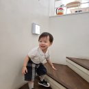 울산 아기랑 카페 좋아서 두번 간 파머스커피