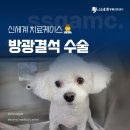 지림 이미지