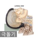 나은 움직임 연구소