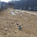 내판3리 마을회관 이미지